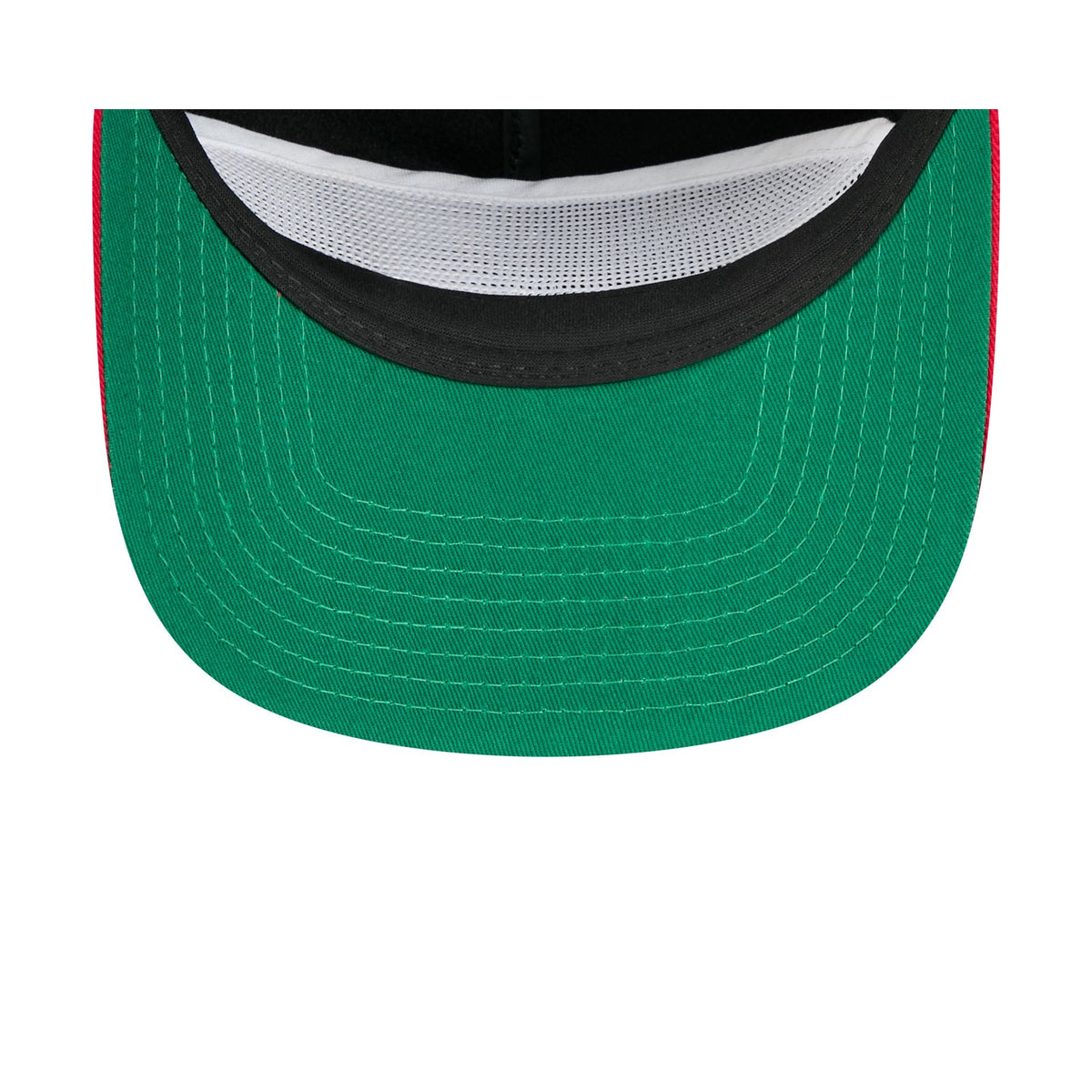 Vancouver Grizzlies Felt Logo 19TWENTY Adjustable Hat